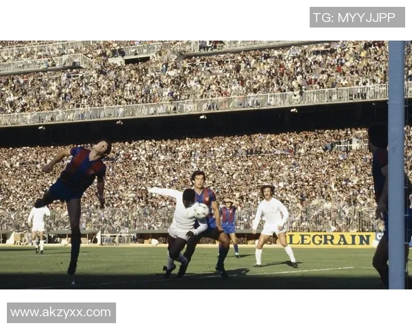 巴西与比利时精彩对决高清回顾全场比赛亮点与精彩瞬间解析 巴西与比利时精彩对决高清回顾全场比赛亮点与精彩瞬间解析